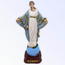 Escultura Nossa Senhora do Sorriso em Resina 14 cm - META ATACADO