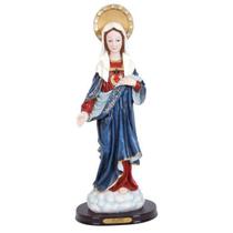Escultura Sagrado Coração De Maria Manto ul 58Cm
