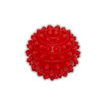 Esfera fisioterapicas tamanho 6,5cm - 01 und