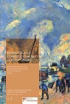Esfera Pública e Constitucionalismo Contemporâneo - Vol.3 - Coleção Instituições Sociais, Direito e Democracia - DPLACIDO