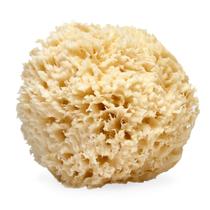 Esfoliante corporal natural Sea Wool Sponge LATHER
