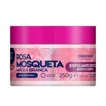 Esfoliante Rosto e Corpo Rosa Mosqueta e Argila Branca Dermacream 250g - Com Cristais de Quartzo Esfoliante Rosto e Corpo Rosa Mosqueta e Argila Branca Dermacream 250g - Com Cristais de Quartzo