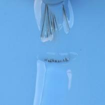 Esmalte Cremoso Impala Movimenta! Nadar De Braçada