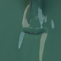 Esmalte Cremoso Impala Movimenta! Segue A Trilha