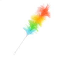 Espanador Colorido de Nylon com Cabo Plástico 54cm Leve e Prático Espanador Colorido de Nylon com Cabo Plástico 54cm Leve e Prático