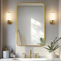Espelho de banheiro Delma 30x20 polegadas Gold Frame High-Def Espelho de banheiro Delma 30x20 polegadas Gold Frame High-Def
