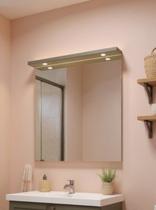 Espelho para Banheiro Com Led 80cm Mdf Verde - On Móveis