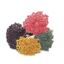 Espeta Azul Desidratado Sempre Viva Flores Secas