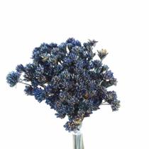 Espeta Nariz Azul Desidratado Sempre Viva Flores Secas