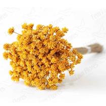 Espeta Nariz Desidratado - Amarelo