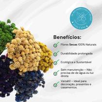 Espeta Nariz Laranja Desidratado Sempre Viva Flores Secas