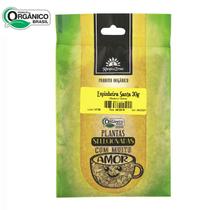 Espinheira Santa Orgânica Certificada 30g Kampo de Ervas