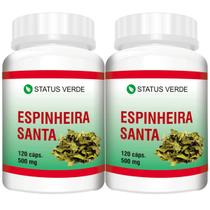 Espinheira Santa Original 240 Capsulas Natural 500mg - 2 frascos - Status Verde