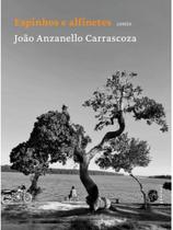 Espinhos e alfinetes