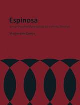 Espinosa - Uma Filosofia Materialista do Infinito Positivo - Edusp