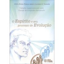 Espírito e seu Processo de Evolução (O) - ESPERANCA E CARIDADE