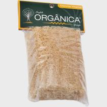 Esponja Bucha Vegetal Em Pedaço Orgânica