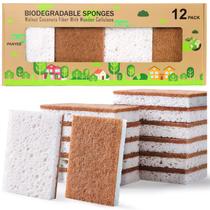 Esponja de cozinha PANYEE Biodegradável Natural Coconut Walnut x12