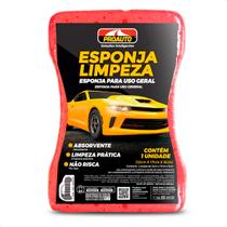Esponja de Limpeza Lavagem Automotiva Uso Geral