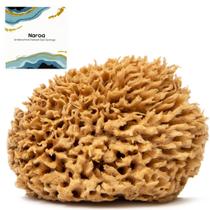 Esponja marinha Naroa Soft Natural para banhar a pele macia Esponja marinha Naroa Soft Natural para banhar a pele macia