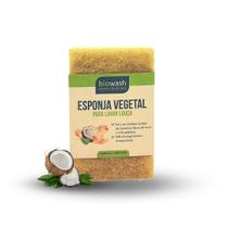 Esponja vegetal