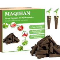 Esponjas de cultivo MAQIHAN 50 unidades para germinação hidropônica