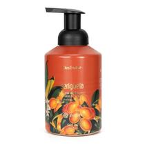 Espuma De Limpeza Desfrutar Seriguela 500Ml