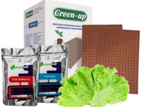 Espuma Fenólica 5 Placas + Solução Nutritiva Alface 2,1Kg rende 1000 Litros