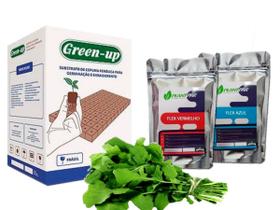 Espuma Fenólica 5 placas + Solução Nutritiva Rúcula 2,1Kg rende 1000 Litros