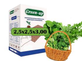 ESPUMA FENÓLICA GREEN-UP 2,5X2,5X3cm 13MM MULTI SEMENTES