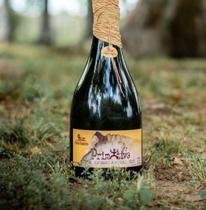 Espumante Hidromel Brut Pueblo Pampeiro 750 ml