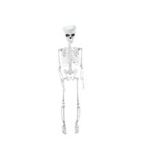 Esqueleto Articulado Charlie Halloween - Cromus