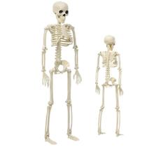 Esqueleto Caveira Halloween Dia das Bruxas Festa Tematica Ossos Corpo Humano Enfeite Decoraçao Terror Porta Entrada Esqueleto Caveira Halloween Dia das Bruxas Festa Tematica Ossos Corpo Humano Enfeite Decoraçao Terror Porta Entrada