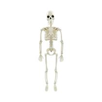 Esqueleto De Halloween Em Tamanho Real Com Ossos Móveis De 40/90cm, Acessórios De Horror Para Esqueleto De Halloween Em Tamanho Real Com Ossos Móveis De 40/90cm, Acessórios De Horror Para