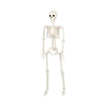 Esqueleto De Halloween Em Tamanho Real Com Ossos Móveis De 40/90cm Para Decoração De Casa, Bar, Casa Esqueleto De Halloween Em Tamanho Real Com Ossos Móveis De 40/90cm Para Decoração De Casa, Bar, Casa