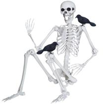 Esqueleto de Halloween LOSFOTBO 165 cm com corvos realistas