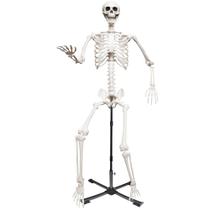 Esqueleto Gigante Wocst 240 cm Tamanho Real com Suporte Metálico
