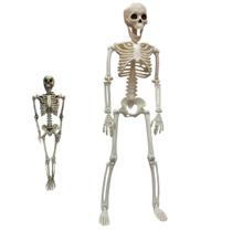 Esqueleto Halloween Dia das Bruxas Festa Tematica Caveira Corpo Humano Ossos Decoraçao Porta Janela Enfeite