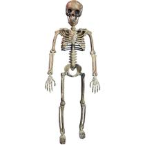 Esqueleto Halloween Super Realista Articulada Faz Muitas Posições Esqueleto Halloween Super Realista Articulada Faz Muitas Posições