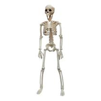 Esqueleto Humano Articulado 40cm de Plástico Decoração Halloween