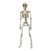 Esqueleto Humano Articulado 40cm - Decoração Halloween