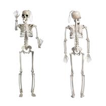 Esqueleto Humano De Plástico Flexível Para Halloween