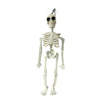 Esqueleto Humano Halloween Caveira C/ Alça Decoração Esqueleto Humano Halloween Caveira C/ Alça Decoração