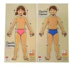 Esquema Corporal Feminino E Masculino Com 2 Placasem Mdf