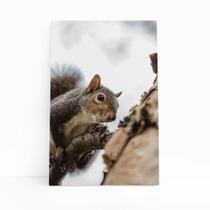 Esquilo Árvore Foto Animais Natureza Quadro Canvas 60x40cm