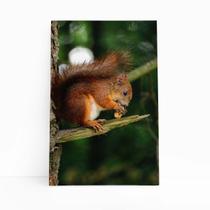 Esquilo Roendo Animais Natureza Quadro Canvas 60x40cm