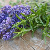 Essência Alecrim com Lavanda 100ml Essência Alecrim com Lavanda 100ml