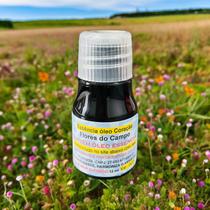 Essência Aromática difusor elétrico Essência Aromática difusor elétrico