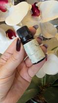 Essencia betula branca - 10 ml Essencia betula branca - 10 ml