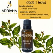 Essência Concentrada 100 ML Cascas e Folhas